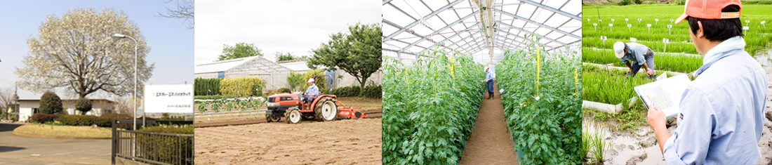 Minori Agricultural Experiment Station