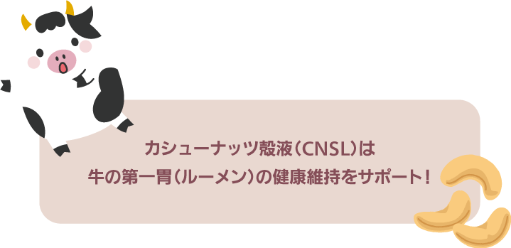 カシューナッツ殻液製剤（CNSL）はルーメン（胃の中）の健康維持をサポート！