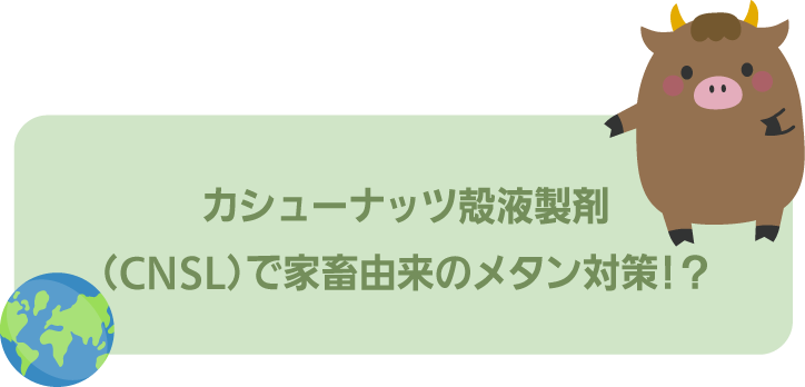 カシューナッツ殻液製剤（CNSL）で家畜由来のメタン対策⁉