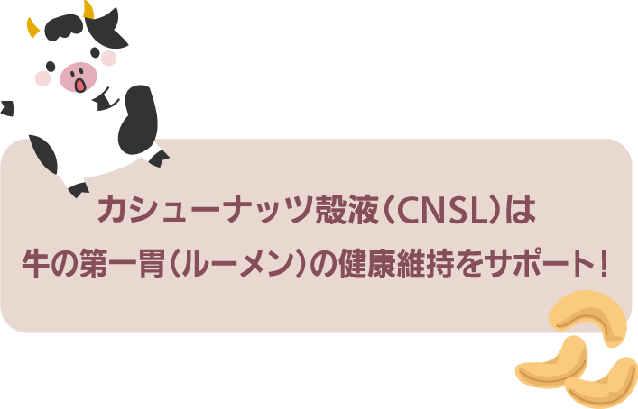 カシューナッツ殻液製剤（CNSL）はルーメン（胃の中）の健康維持をサポート！