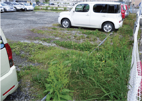 駐車場の写真