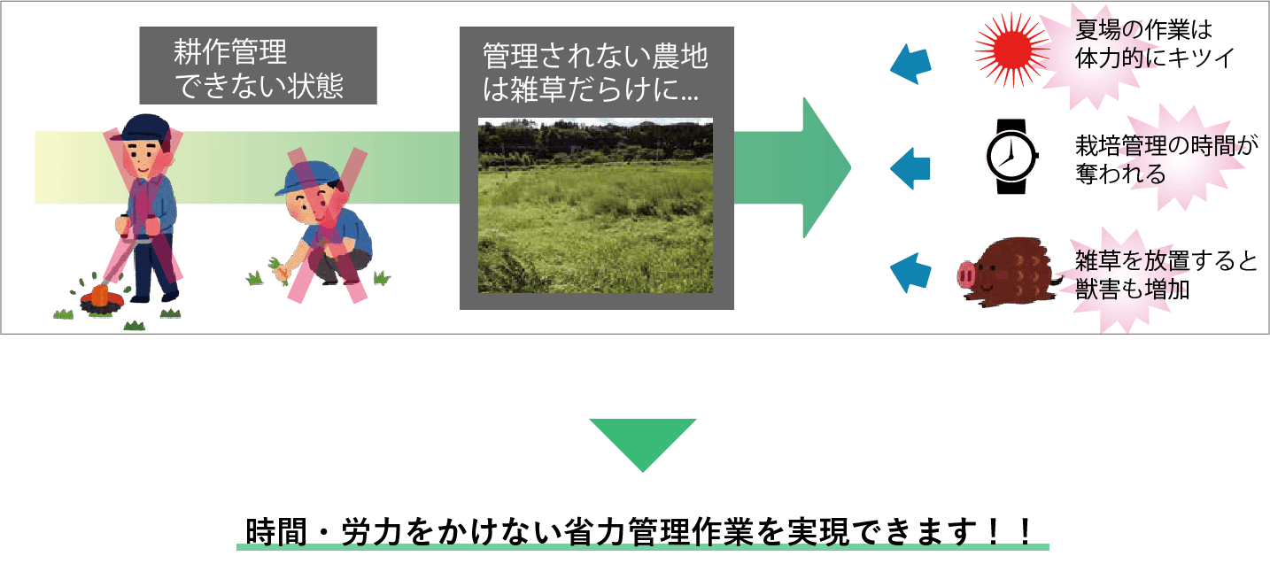 耕地管理がされてないと、どうなるかを表した図