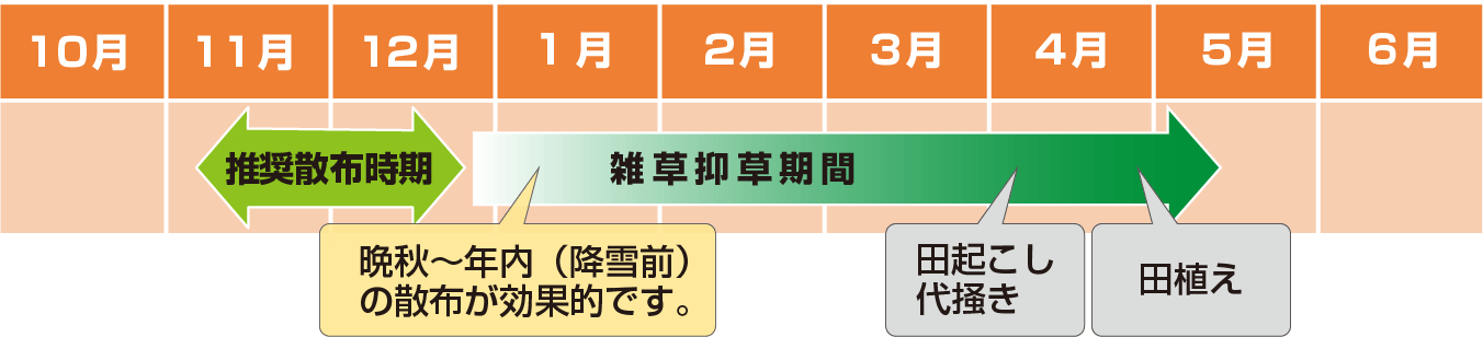 散布時期の目安を示した図