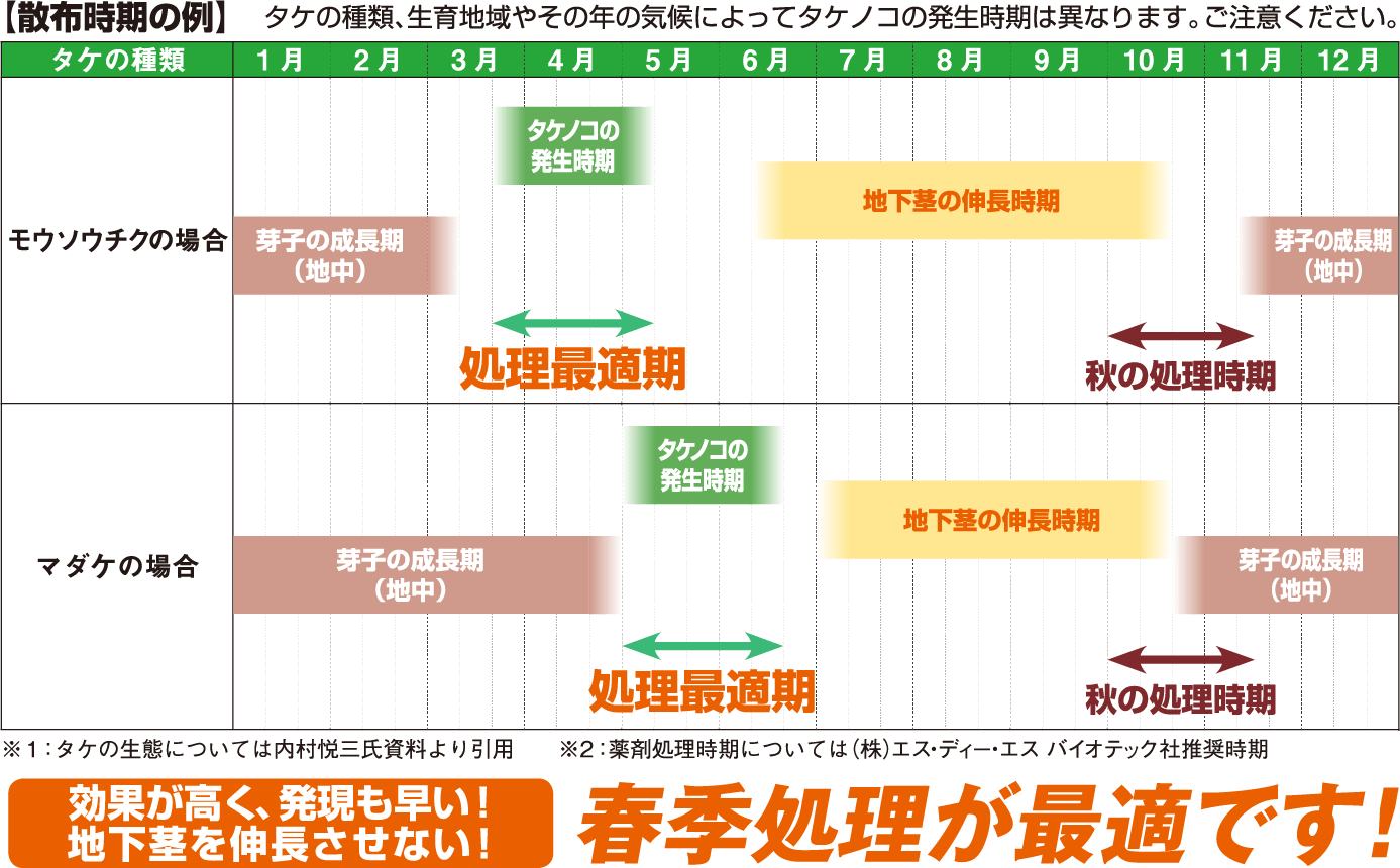 「効果が高く」、「発現も早い」、「地下茎を伸長させない」、春来の散布が最適です！